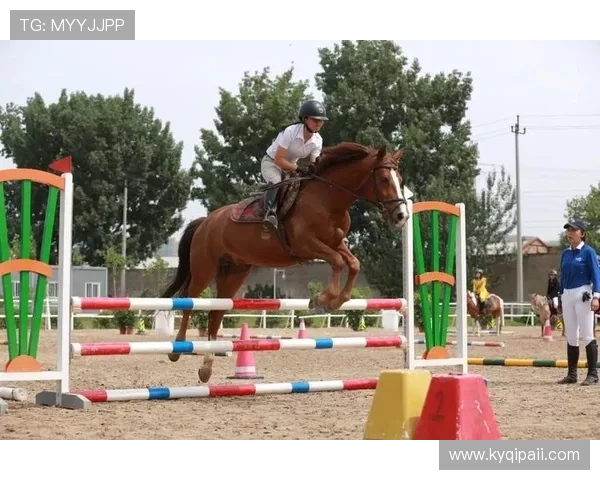 探索hkjc香港赛马app官方,尽享赛马乐趣与精彩赛事 探索hkjc香港赛马app官方,尽享赛马乐趣与精彩赛事